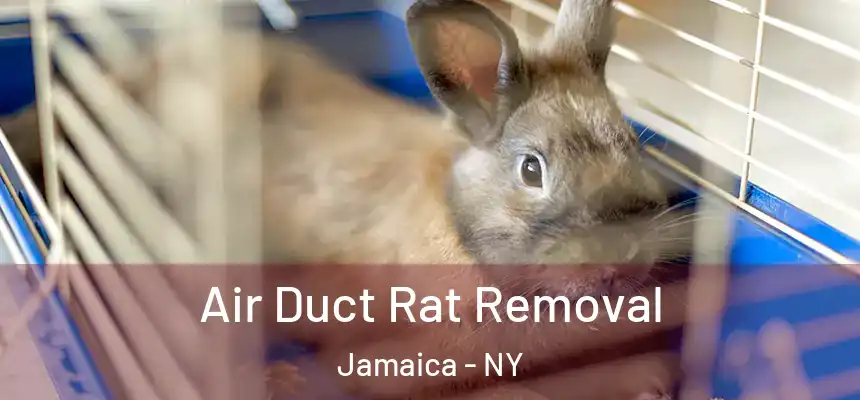 Air Duct Rat Removal Jamaica - NY