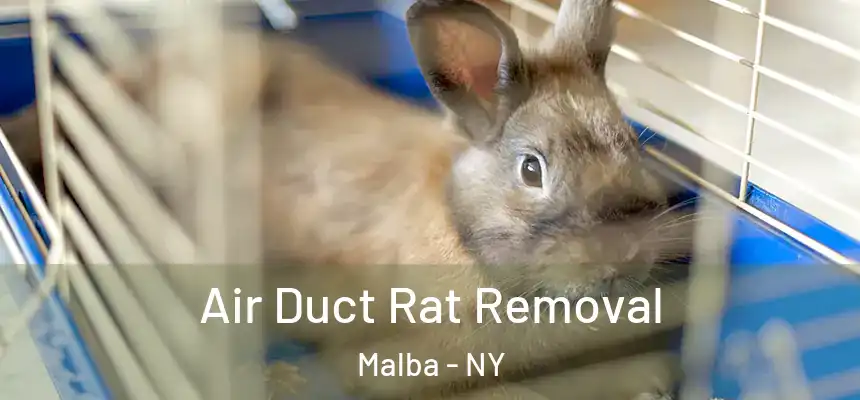  Air Duct Rat Removal Malba - NY