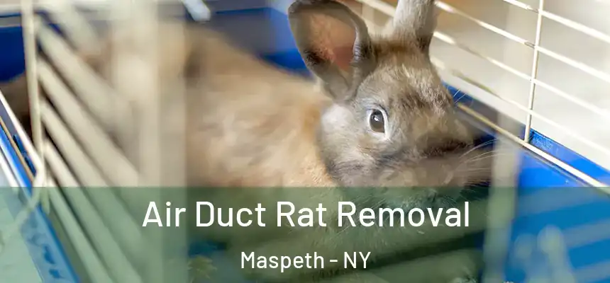 Air Duct Rat Removal Maspeth - NY