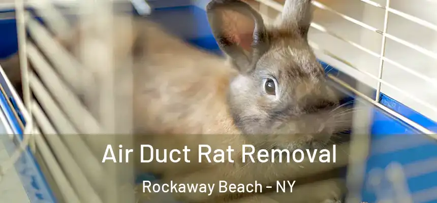  Air Duct Rat Removal Rockaway Beach - NY