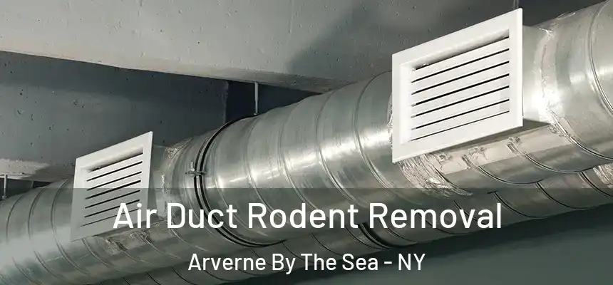 Air Duct Rodent Removal Arverne By The Sea - NY