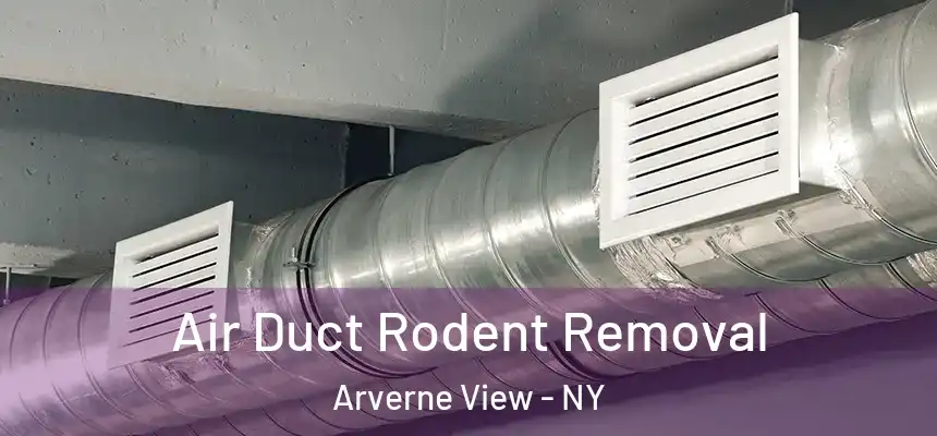  Air Duct Rodent Removal Arverne View - NY