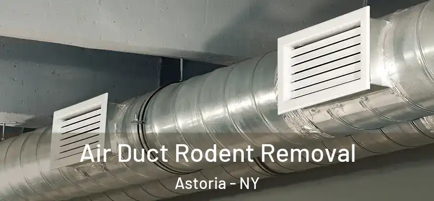  Air Duct Rodent Removal Astoria - NY