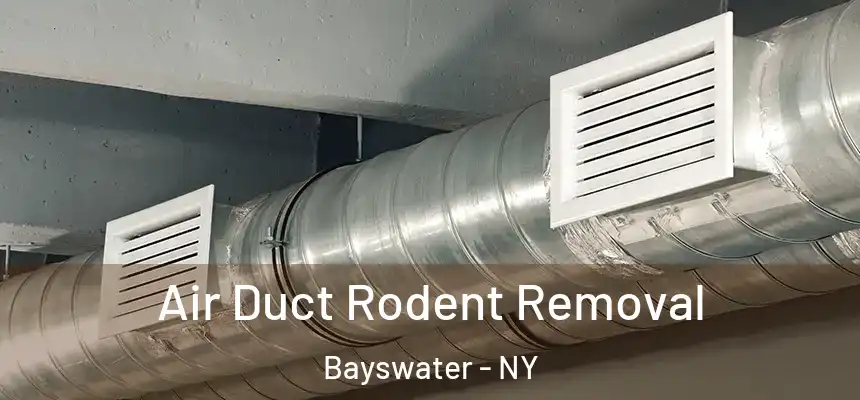  Air Duct Rodent Removal Bayswater - NY