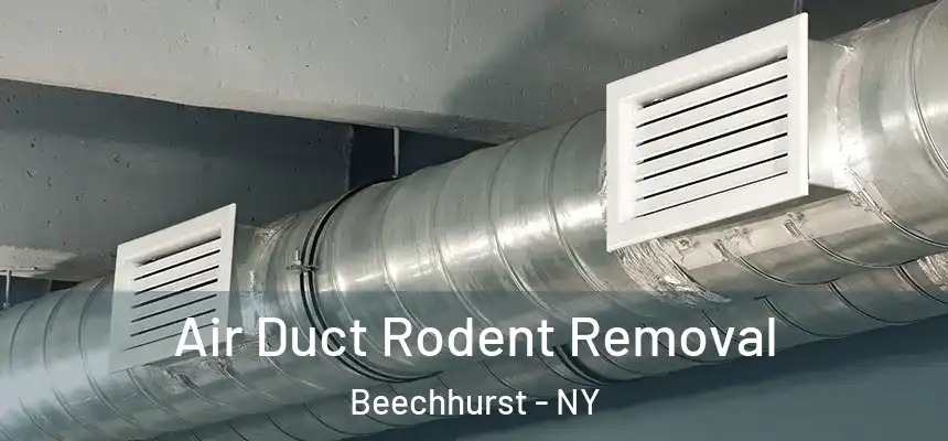 Air Duct Rodent Removal Beechhurst - NY