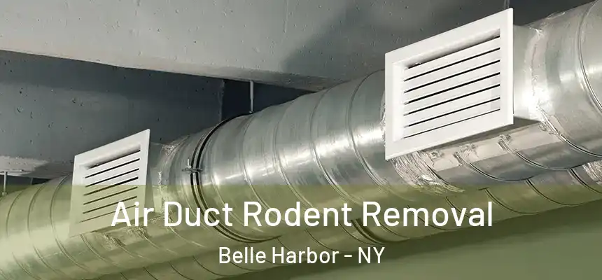 Air Duct Rodent Removal Belle Harbor - NY
