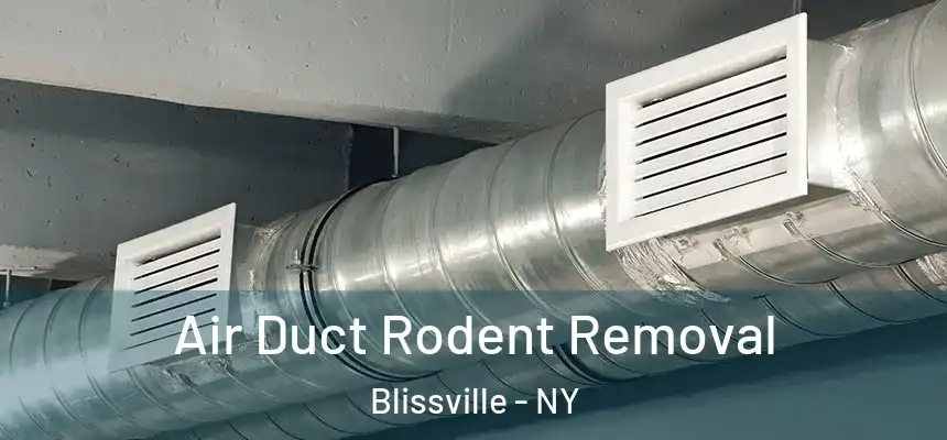  Air Duct Rodent Removal Blissville - NY