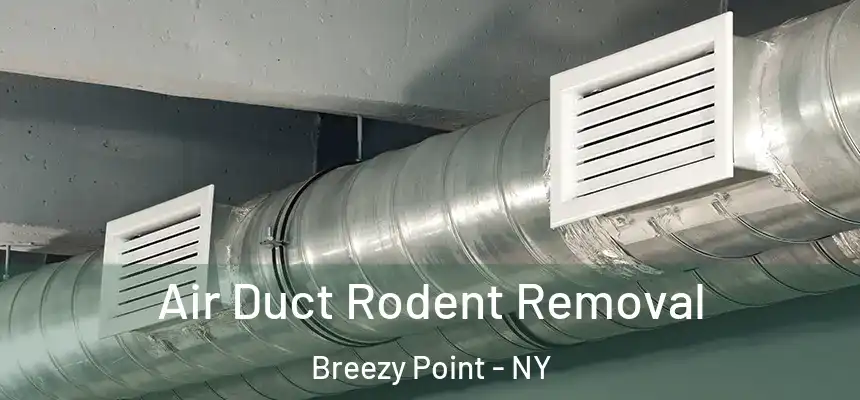 Air Duct Rodent Removal Breezy Point - NY