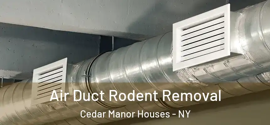  Air Duct Rodent Removal Cedar Manor Houses - NY