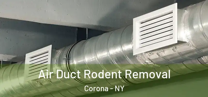  Air Duct Rodent Removal Corona - NY