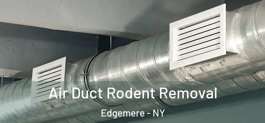 Air Duct Rodent Removal Edgemere - NY