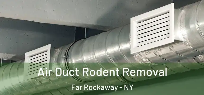  Air Duct Rodent Removal Far Rockaway - NY