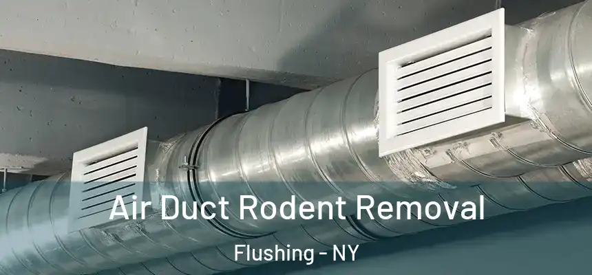 Air Duct Rodent Removal Flushing - NY