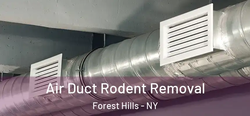 Air Duct Rodent Removal Forest Hills - NY