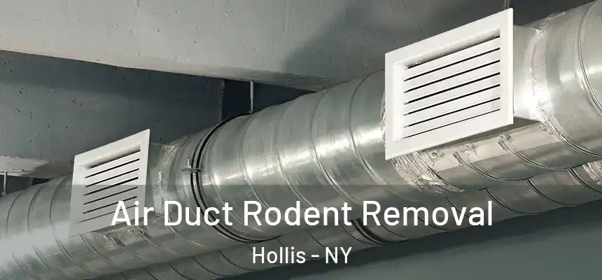  Air Duct Rodent Removal Hollis - NY