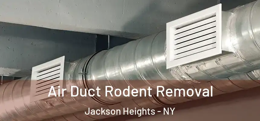  Air Duct Rodent Removal Jackson Heights - NY