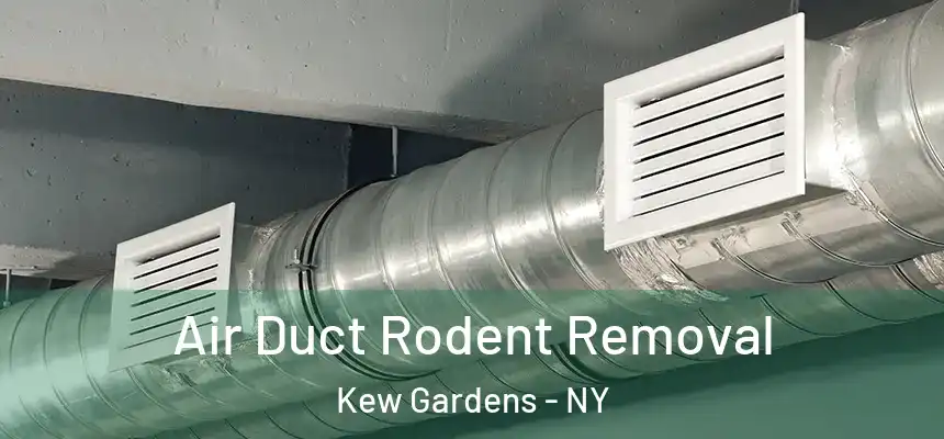Air Duct Rodent Removal Kew Gardens - NY