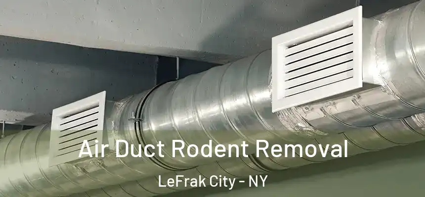 Air Duct Rodent Removal LeFrak City - NY