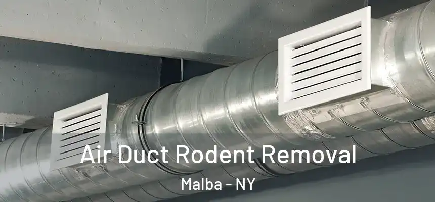 Air Duct Rodent Removal Malba - NY