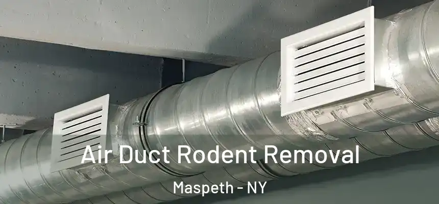Air Duct Rodent Removal Maspeth - NY