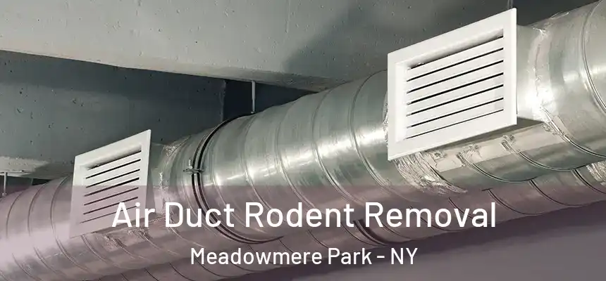 Air Duct Rodent Removal Meadowmere Park - NY