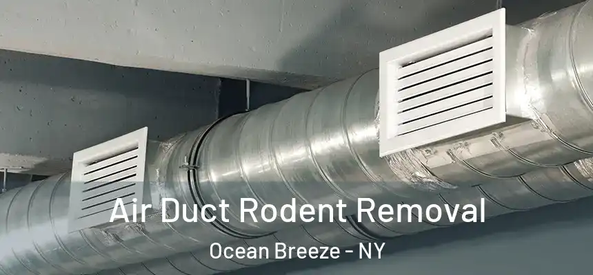  Air Duct Rodent Removal Ocean Breeze - NY