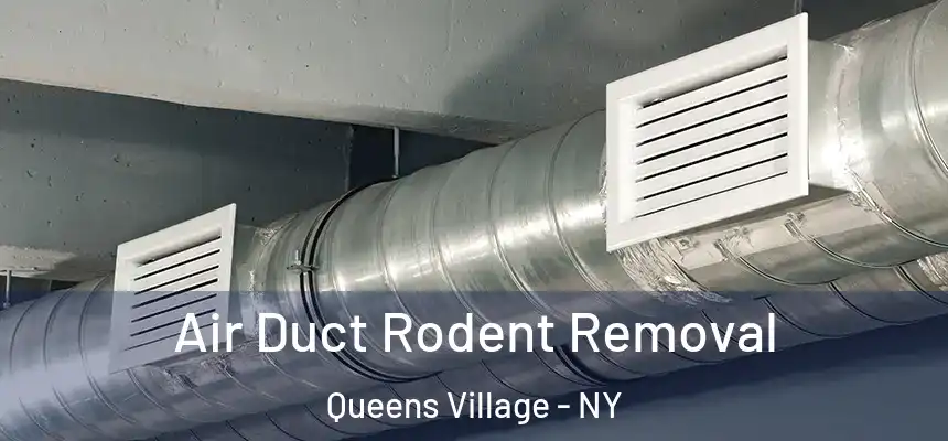 Air Duct Rodent Removal Queens Village - NY