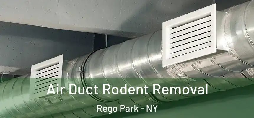  Air Duct Rodent Removal Rego Park - NY