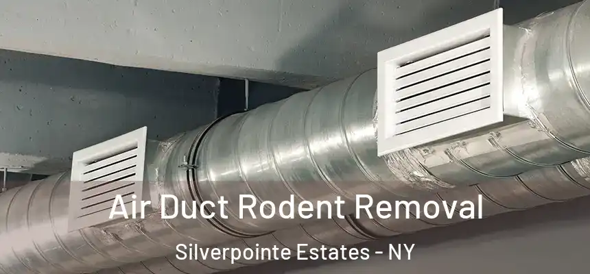 Air Duct Rodent Removal Silverpointe Estates - NY