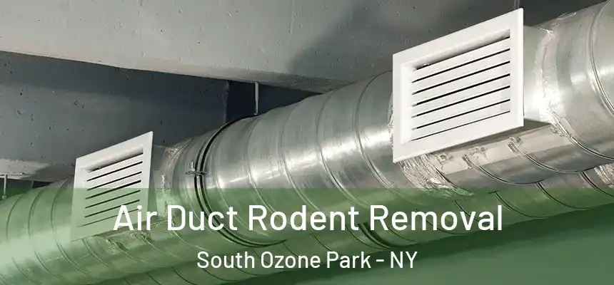  Air Duct Rodent Removal South Ozone Park - NY