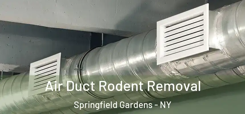  Air Duct Rodent Removal Springfield Gardens - NY