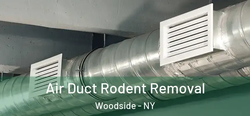  Air Duct Rodent Removal Woodside - NY