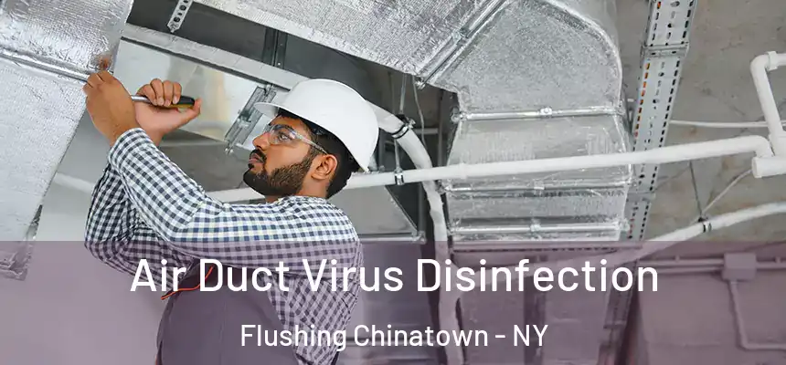  Air Duct Virus Disinfection Flushing Chinatown - NY