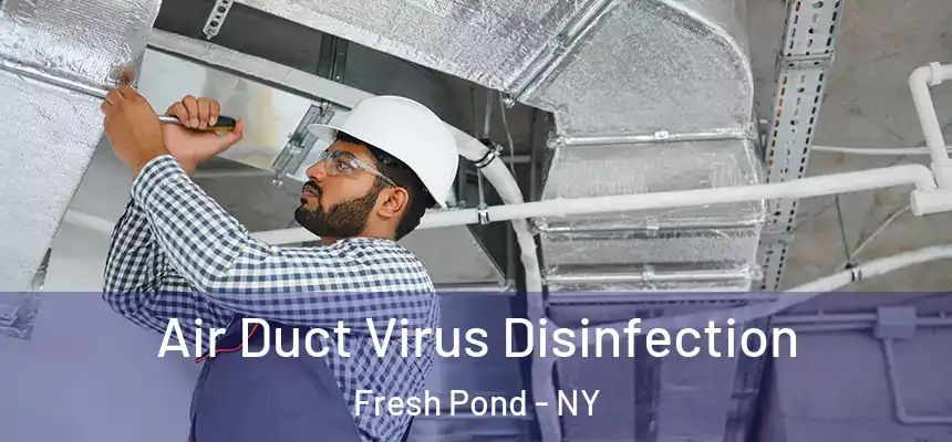  Air Duct Virus Disinfection Fresh Pond - NY
