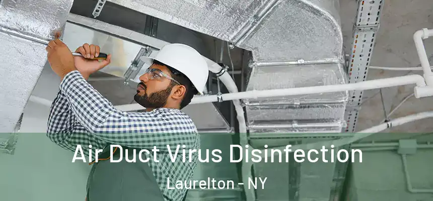  Air Duct Virus Disinfection Laurelton - NY