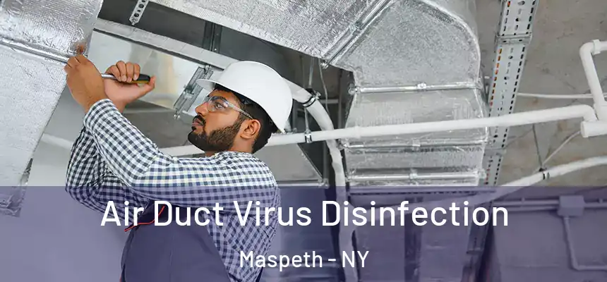  Air Duct Virus Disinfection Maspeth - NY