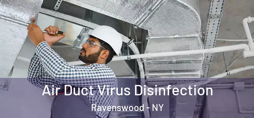  Air Duct Virus Disinfection Ravenswood - NY