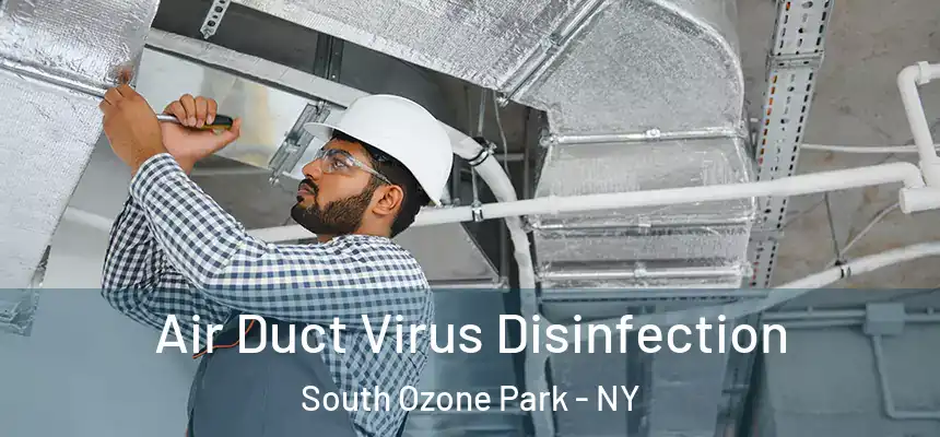  Air Duct Virus Disinfection South Ozone Park - NY