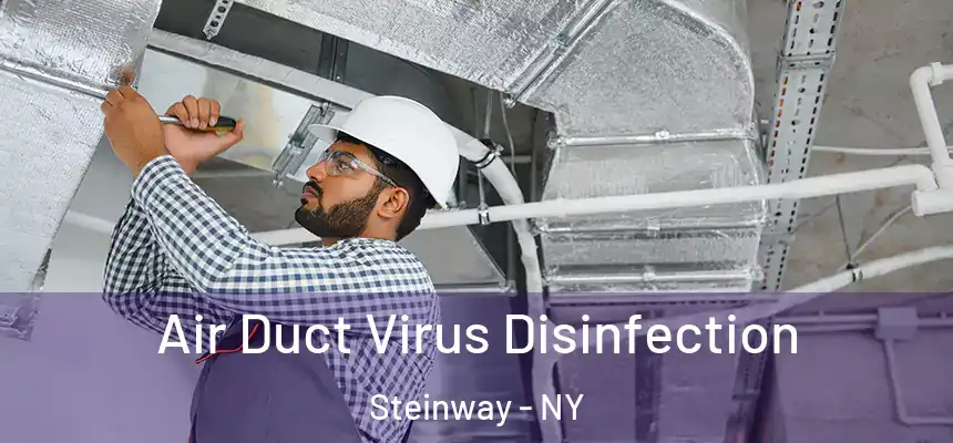  Air Duct Virus Disinfection Steinway - NY