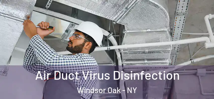 Air Duct Virus Disinfection Windsor Oak - NY