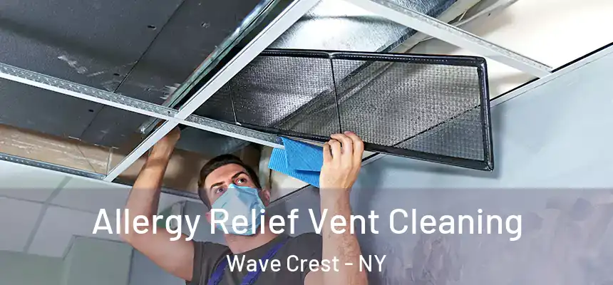  Allergy Relief Vent Cleaning Wave Crest - NY