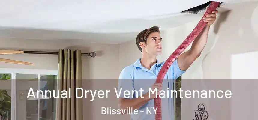  Annual Dryer Vent Maintenance Blissville - NY