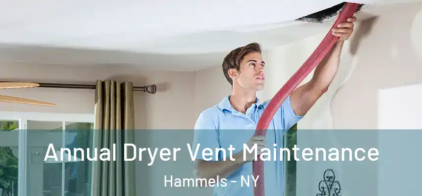  Annual Dryer Vent Maintenance Hammels - NY