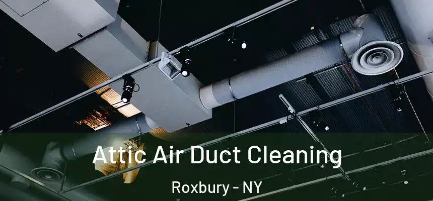 Attic Air Duct Cleaning Roxbury - NY