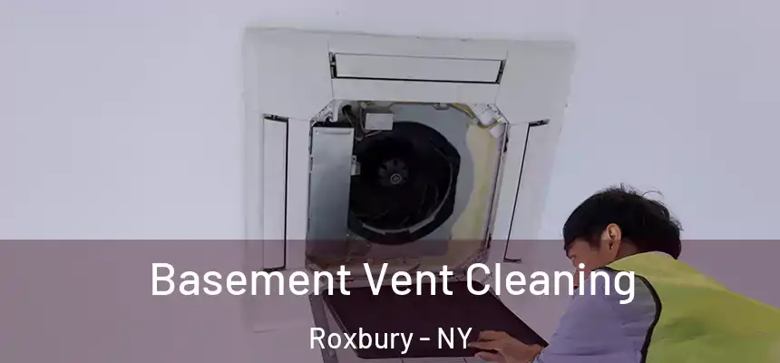  Basement Vent Cleaning Roxbury - NY