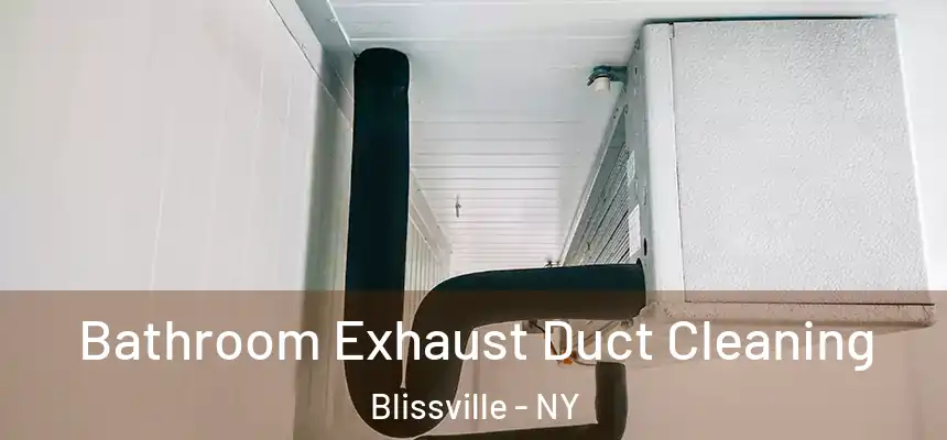  Bathroom Exhaust Duct Cleaning Blissville - NY