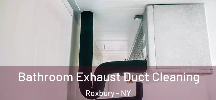  Bathroom Exhaust Duct Cleaning Roxbury - NY
