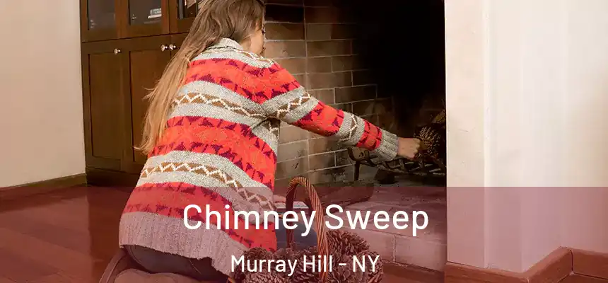  Chimney Sweep Murray Hill - NY
