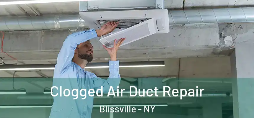  Clogged Air Duct Repair Blissville - NY
