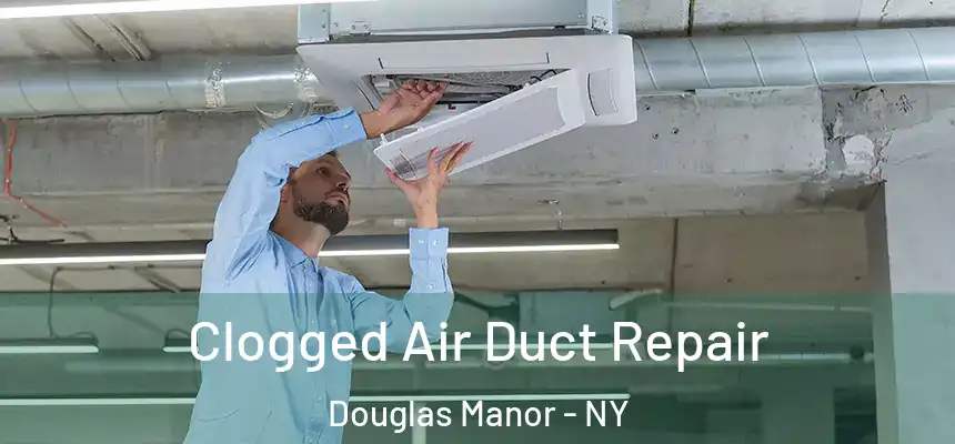  Clogged Air Duct Repair Douglas Manor - NY